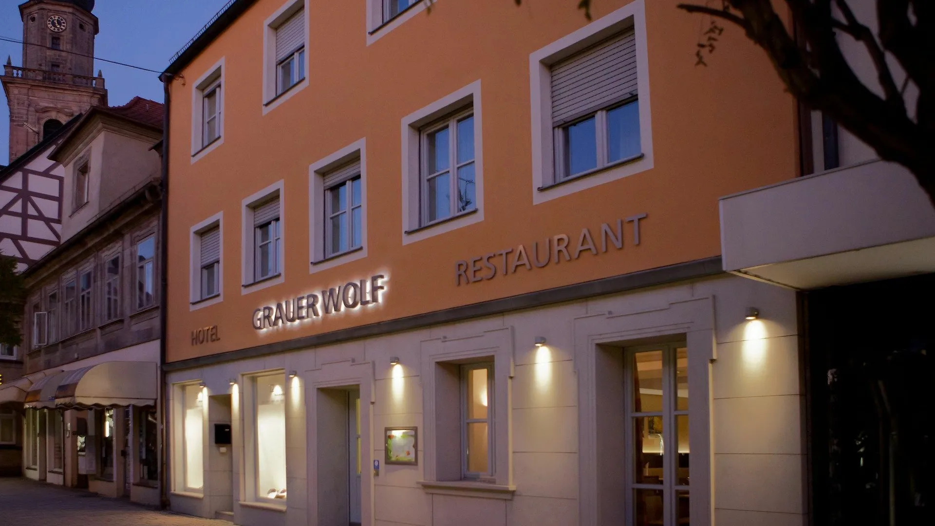 Altstadthotel Grauer Wolf Эрланген Отель